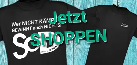 T-Shirt kaufen - T-Shirts kaufen Bild